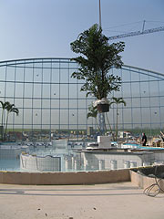 Einzug von 30 riesigen Königspalmen und anderen exotischen Pflanzen am 15.03.2007 (Foto: Therme Erding)